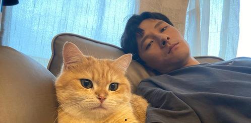 娱乐吃瓜君和罗小猫